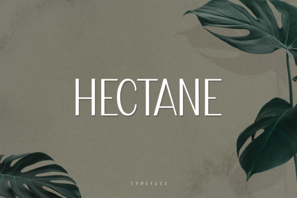 Hectane Display Font Review