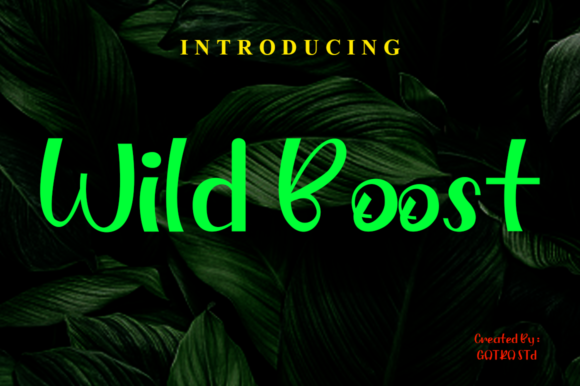 How Wild Boost Transformed My Brand’s Visual Identity